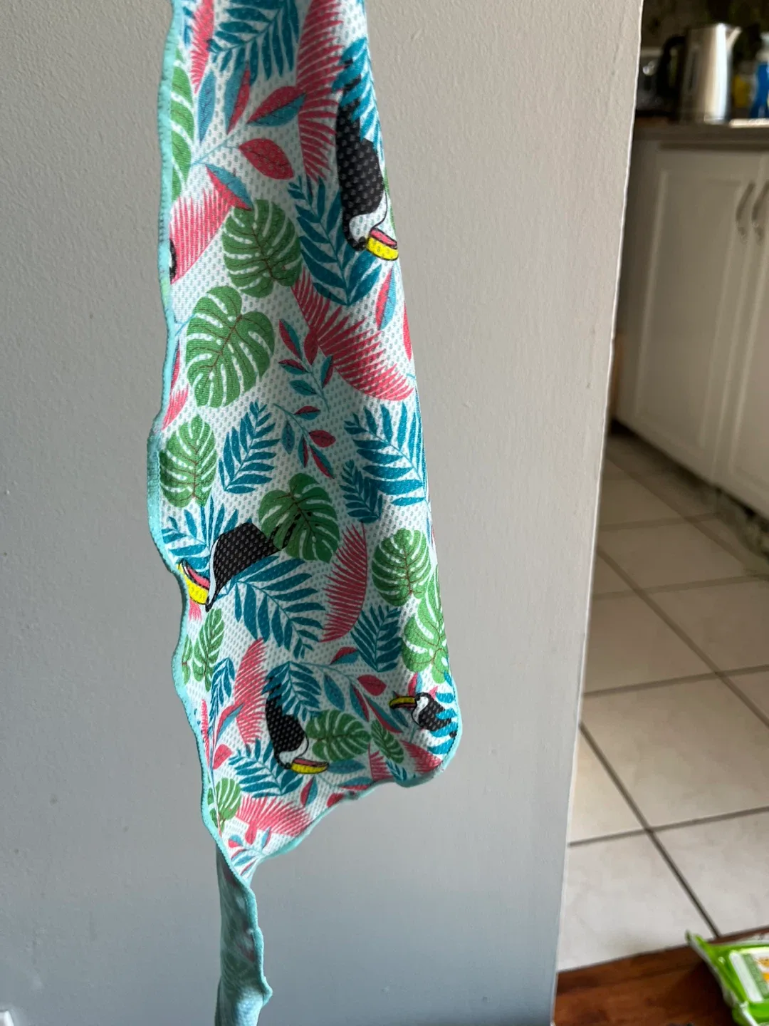 🥕BOX OF DOG ACCESSORIES (11.8" x 15.7") - New in Box! image indicator(4)