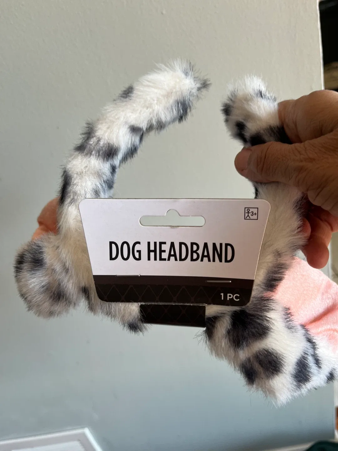 🥕BOX OF DOG ACCESSORIES (11.8" x 15.7") - New in Box! image indicator(5)