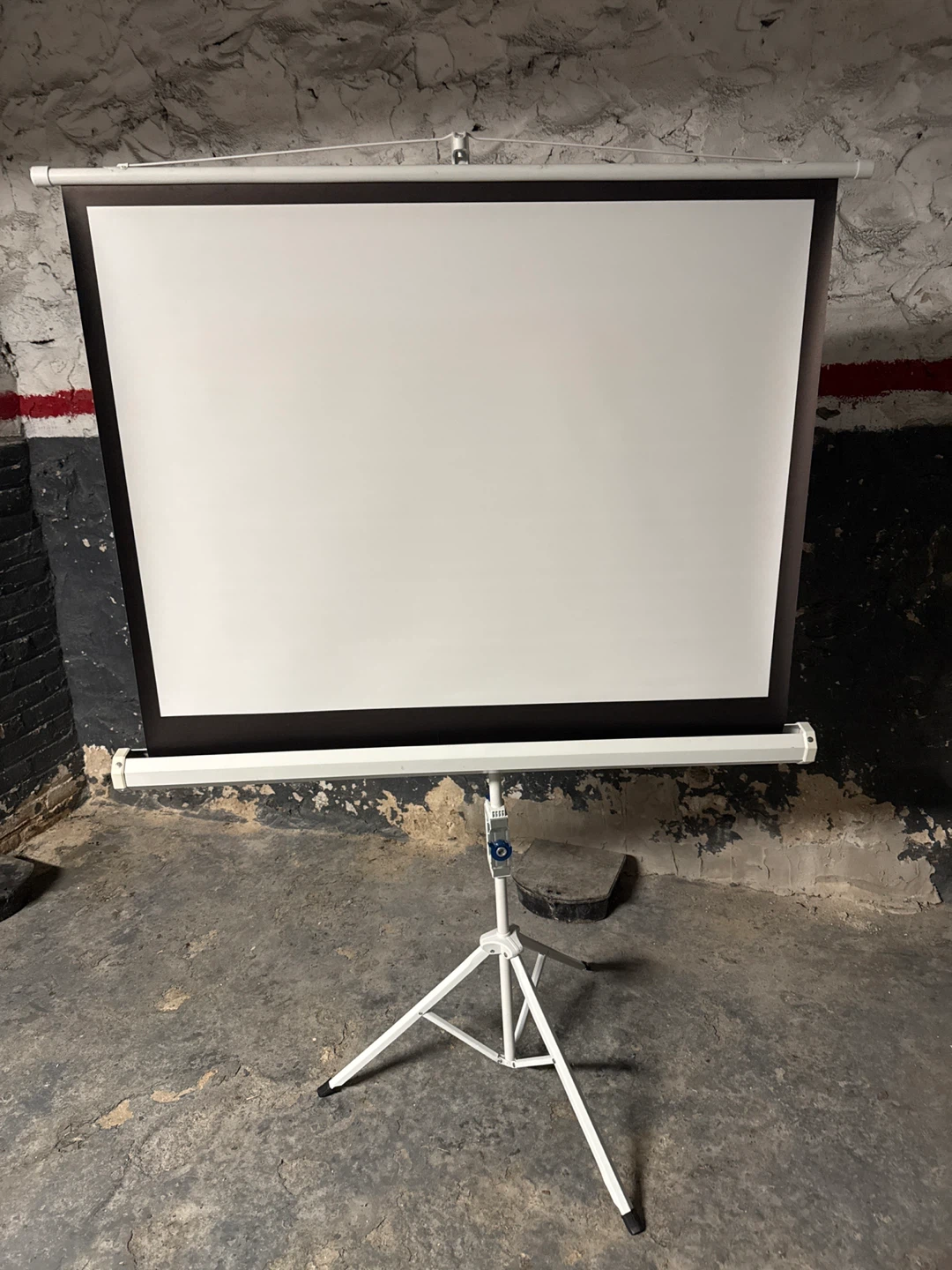 Projector Screen with Tripod Stand