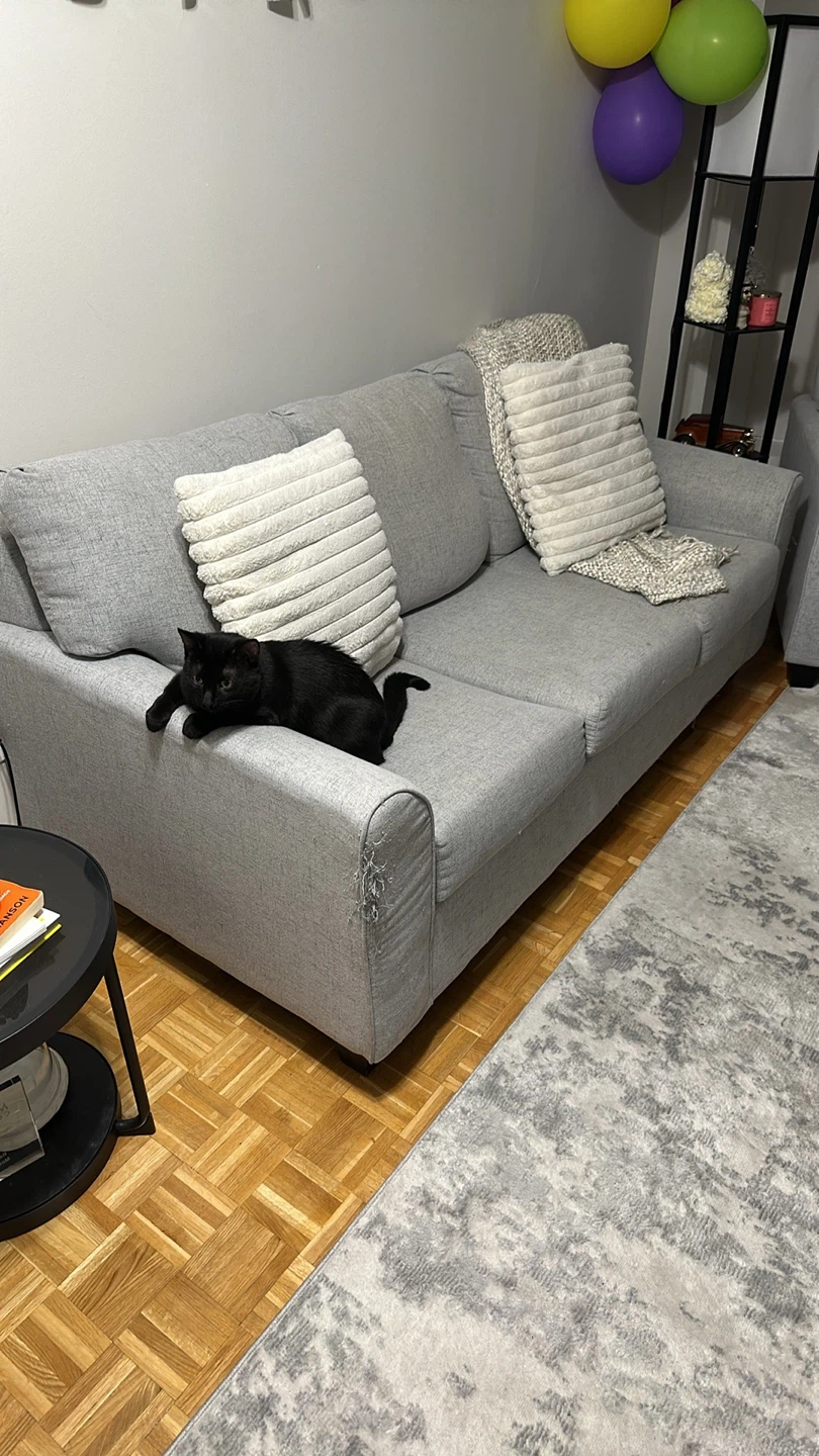 Grey Armchair & Sofa Set