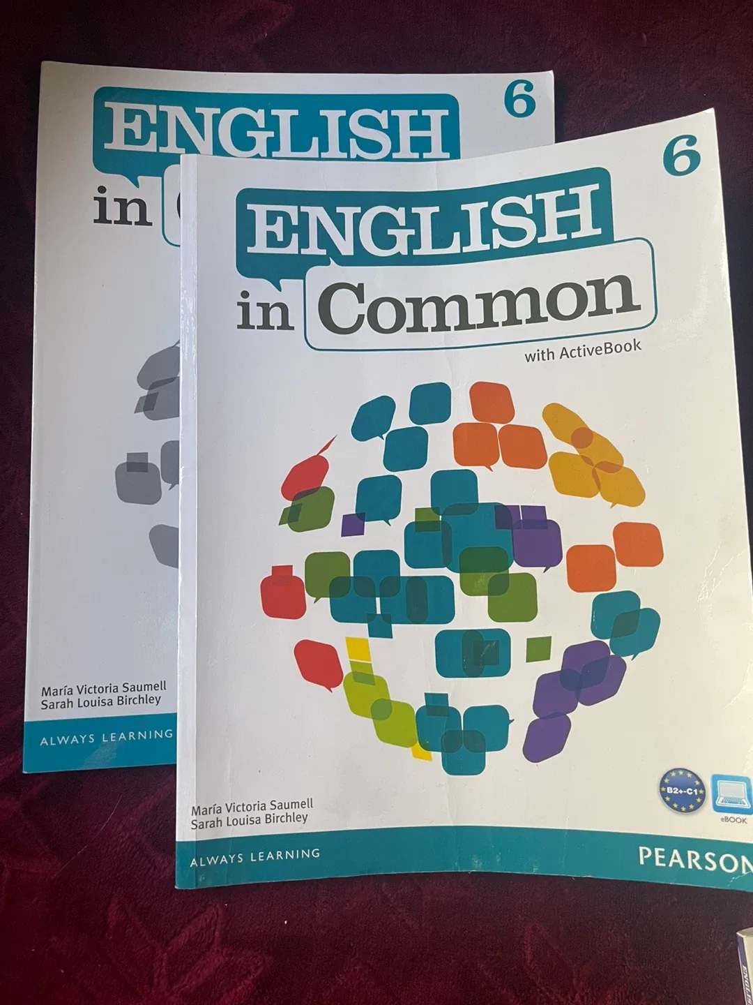 English in Common Workbook Set 🌸 image indicator(2)