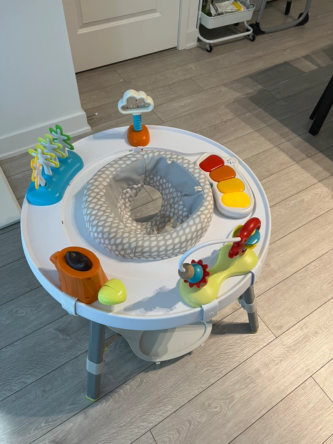 Skip Hop baby Activity Center