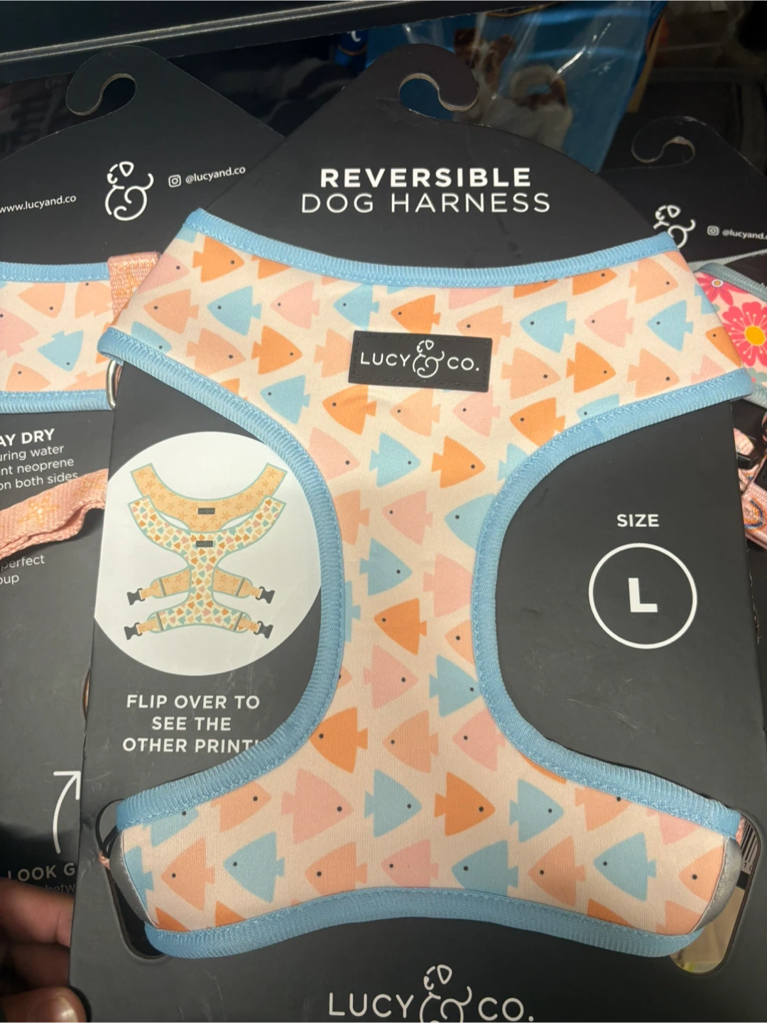 Lucy & Co. Reversible Dog Harness