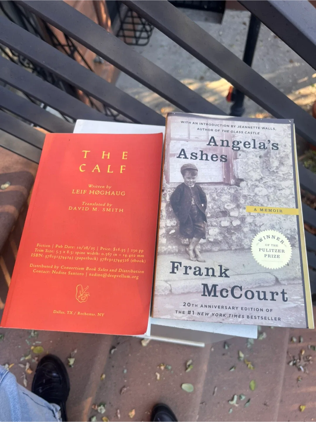 🥕The Calf by Leif Høghaug & Angela's Ashes by Frank McCourt thumbnail