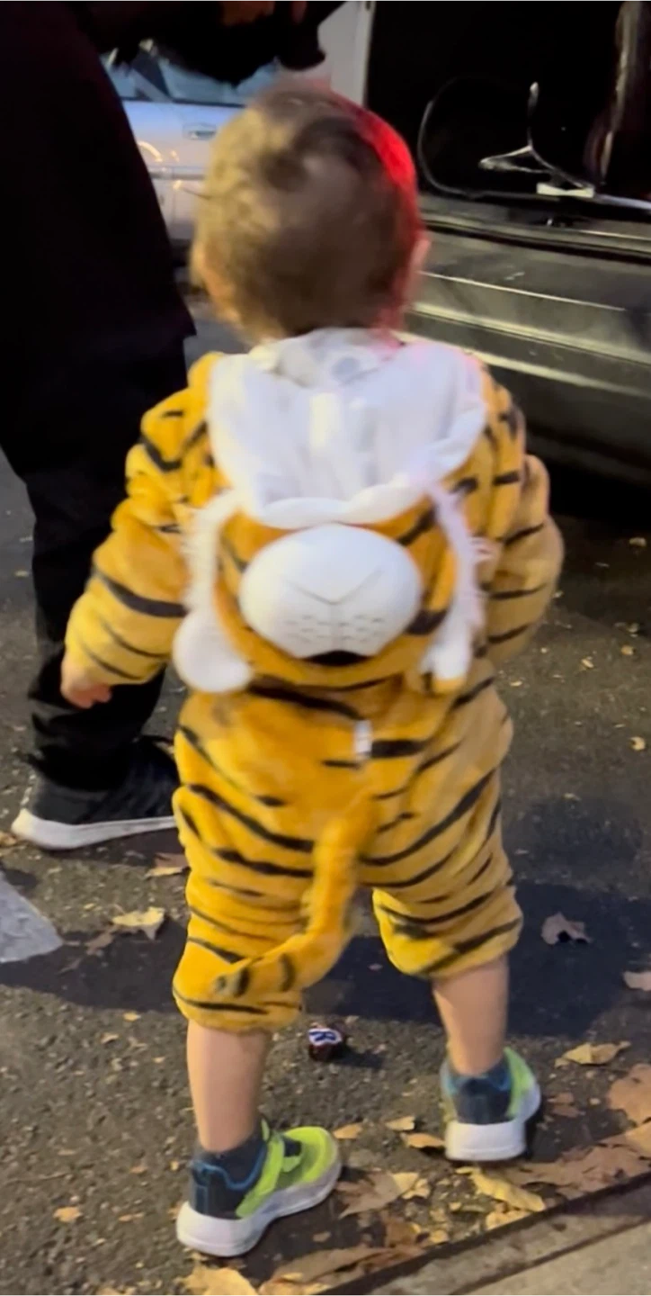 Tiger Costume - photo 3