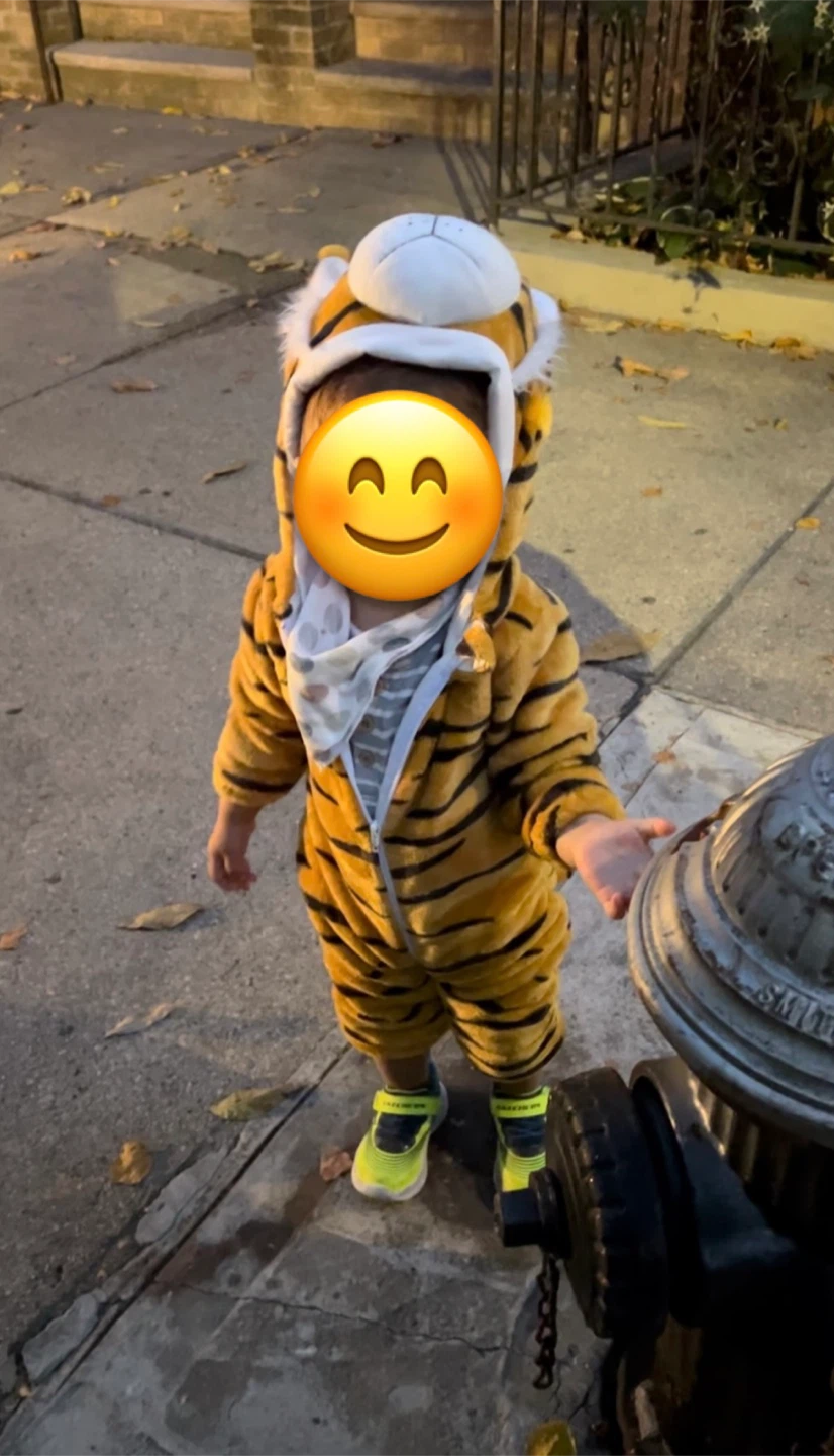 Tiger Costume - photo 2