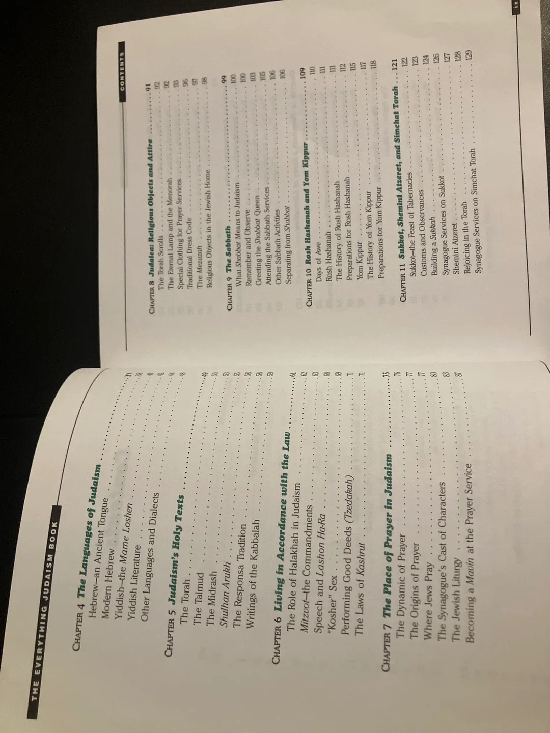 The Everything Judaism Book by Richard Bank image indicator(4)