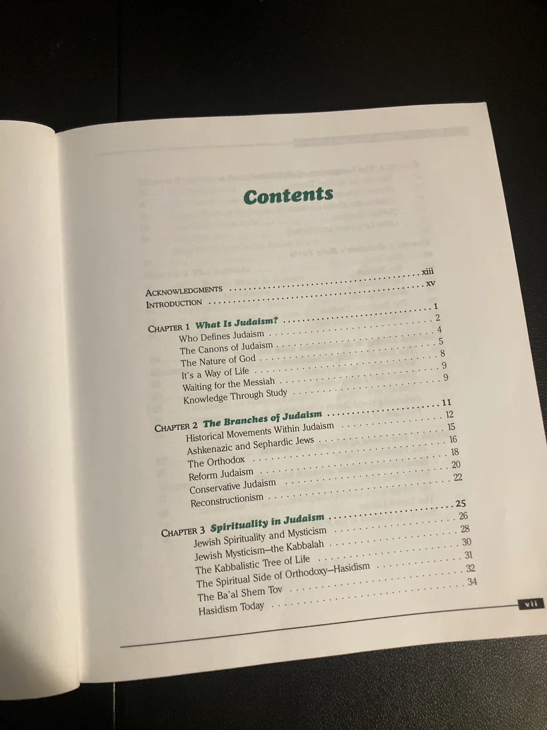 The Everything Judaism Book by Richard Bank image indicator(3)