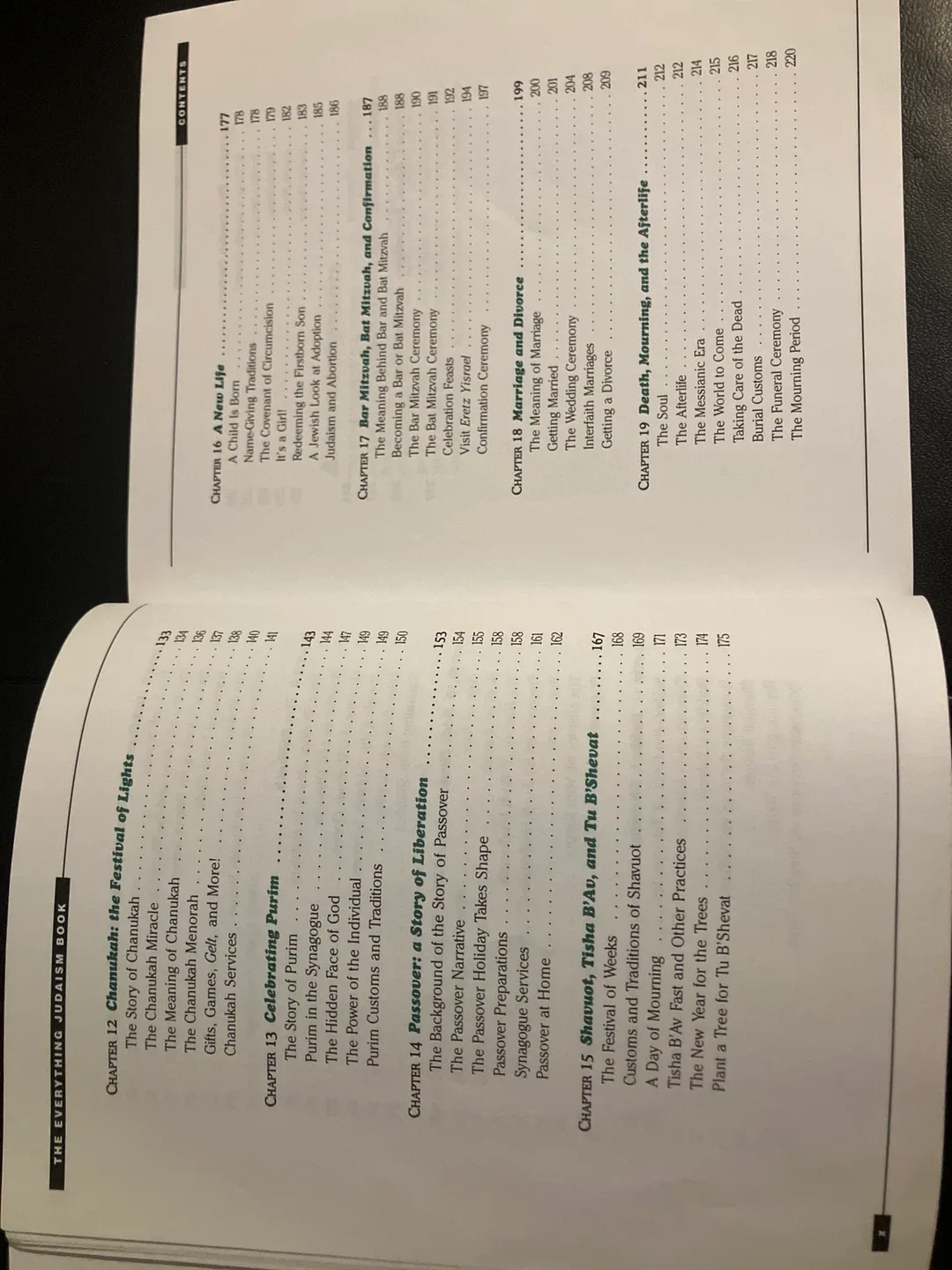 The Everything Judaism Book by Richard Bank image indicator(5)