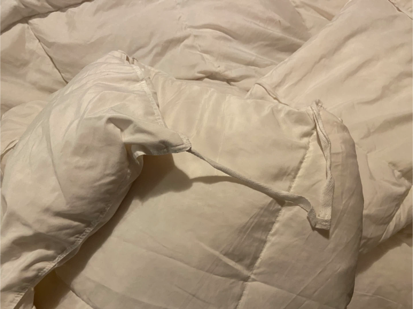 PENDING- White Down Comforter-King Size with ties - photo 2