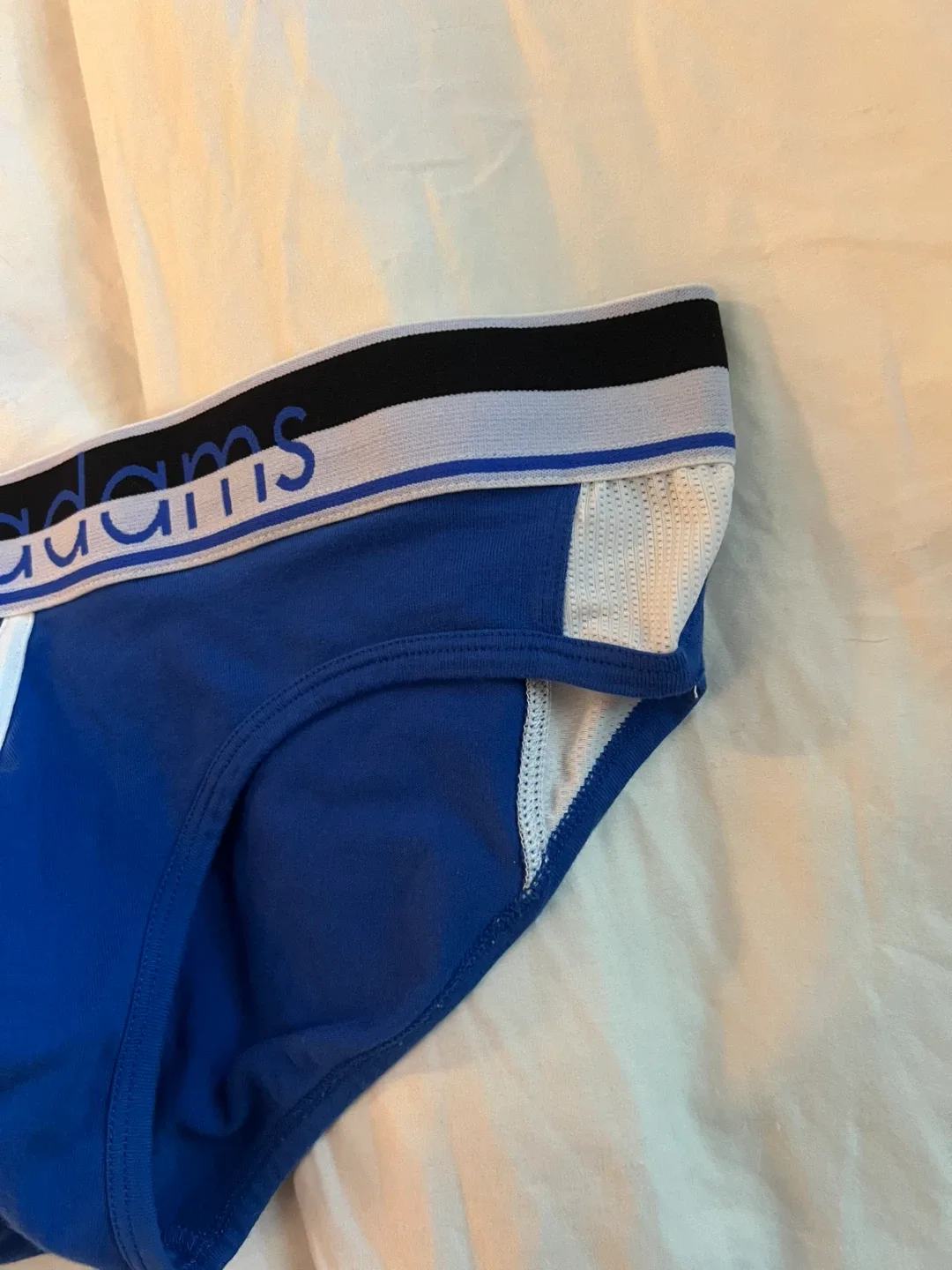 Jack Adams Blue Briefs - Size large image indicator(2)