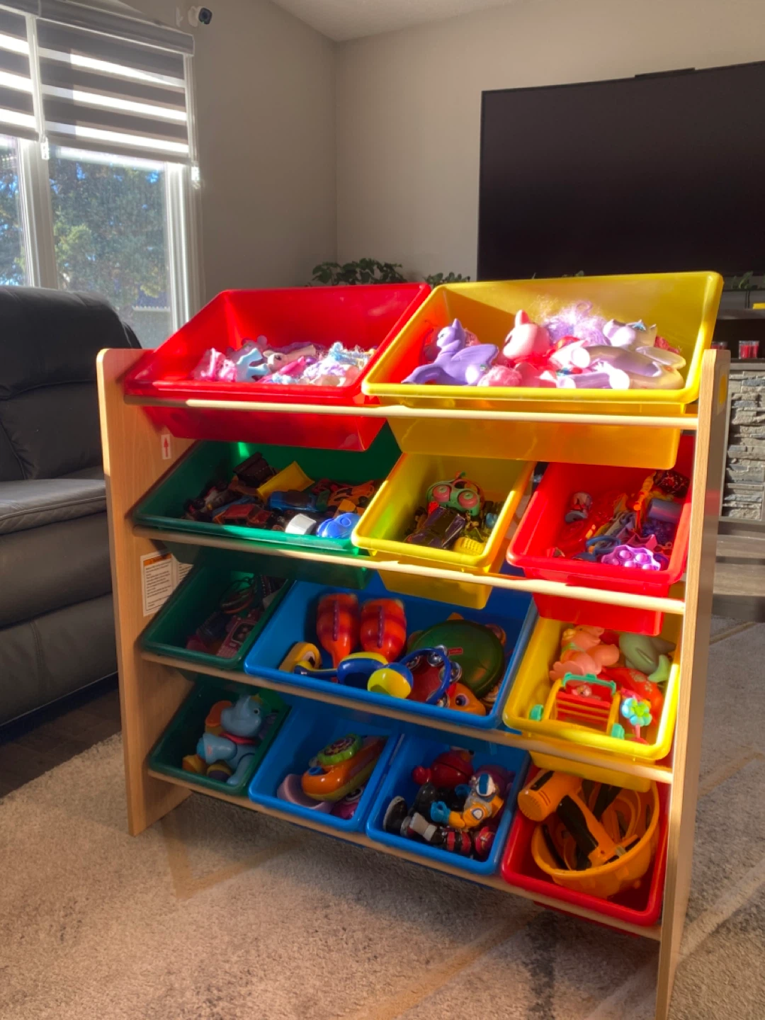 Kids Toy Storage Organizer with Bins