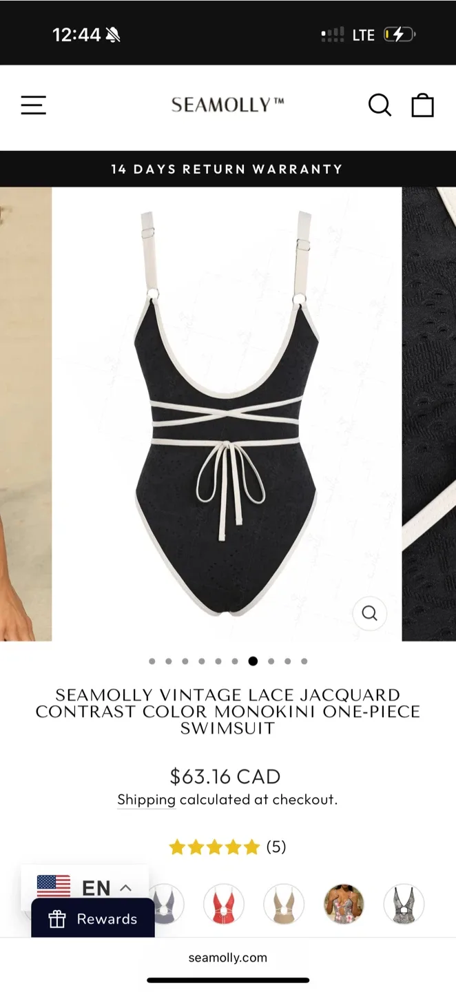 SEAMOLLY Vintage Lace Jacquard Swimsuit image indicator(5)