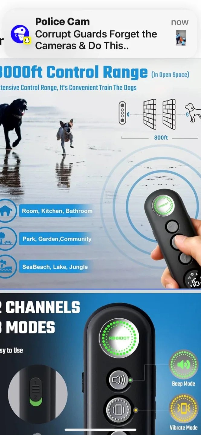 ABBIDOT  DOG TRAINING COLLAR image indicator(4)