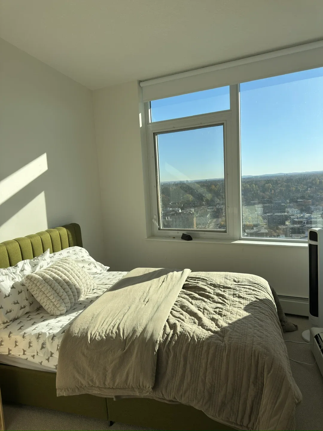 Queen Size Bed with Olive Green Headboard image indicator(5)