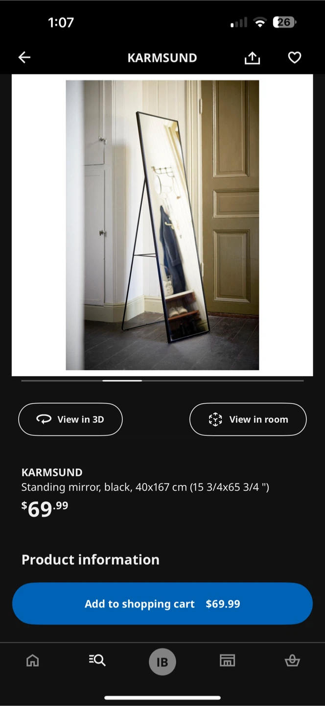 IKEA Standing Mirror, Black