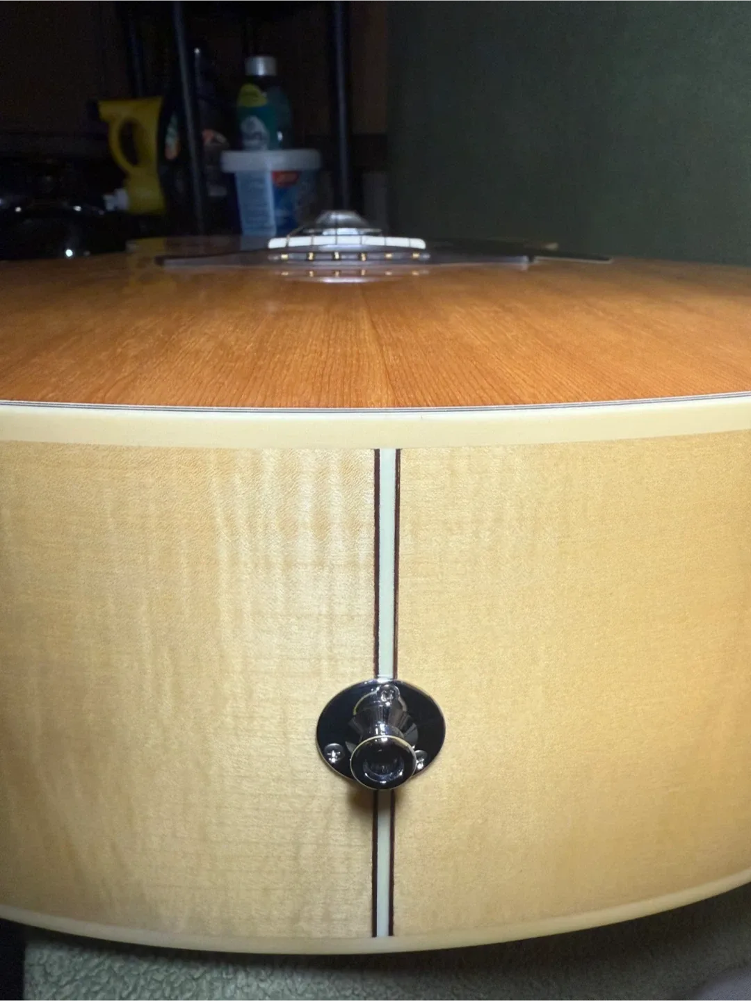 Takamine Electric Acoustic image indicator(6)