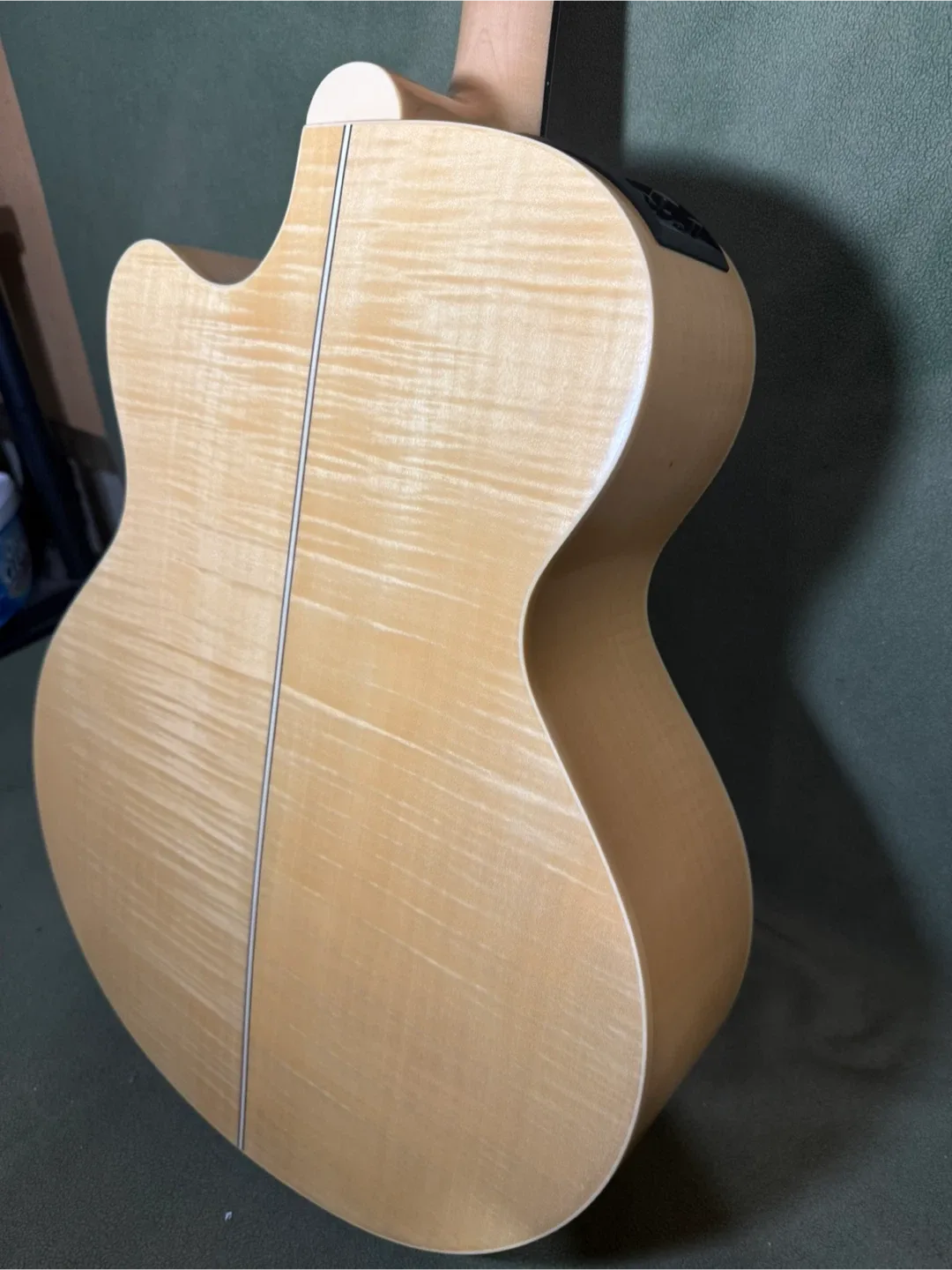 Takamine Electric Acoustic image indicator(10)