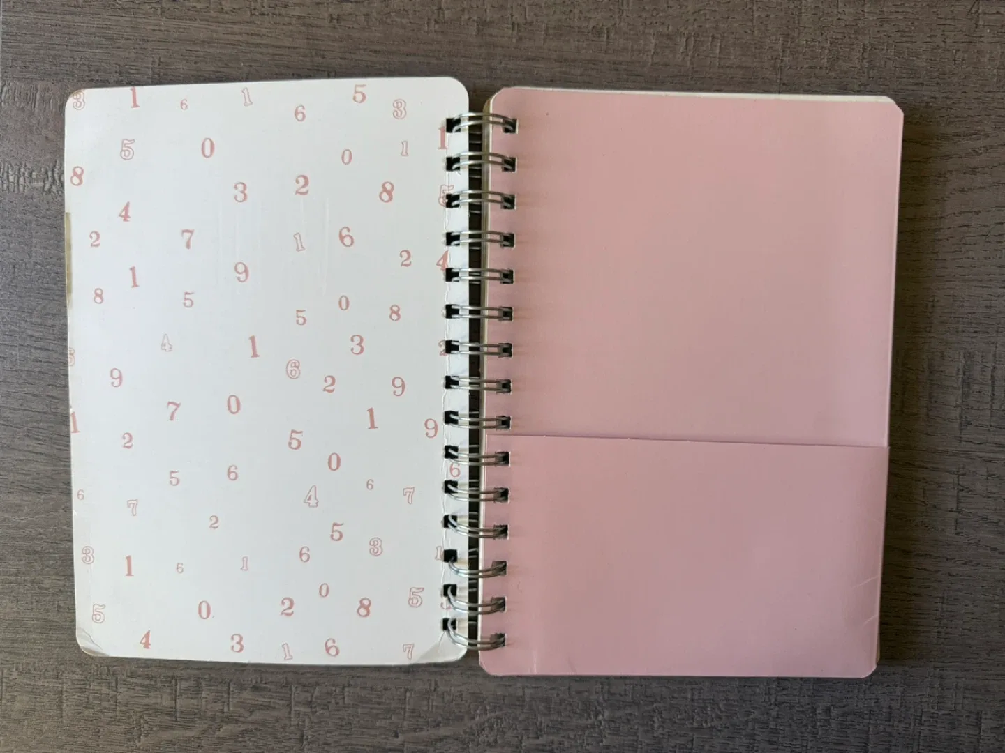 Studio Pink Notebook 🥕 image indicator(3)