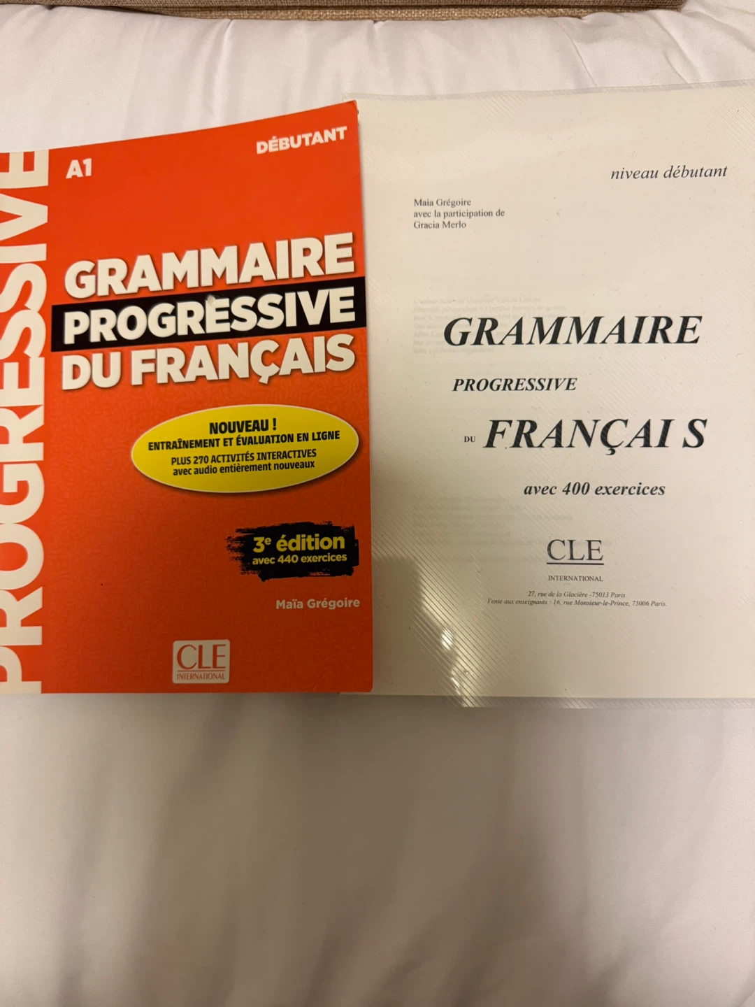 Moving out sale: Grammaire Progressive du Français A1