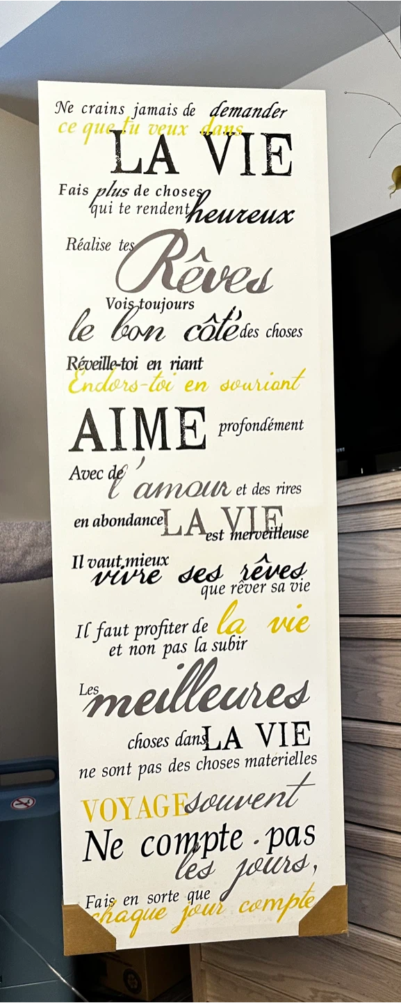 Inspirational Wall Art - "La Vie"