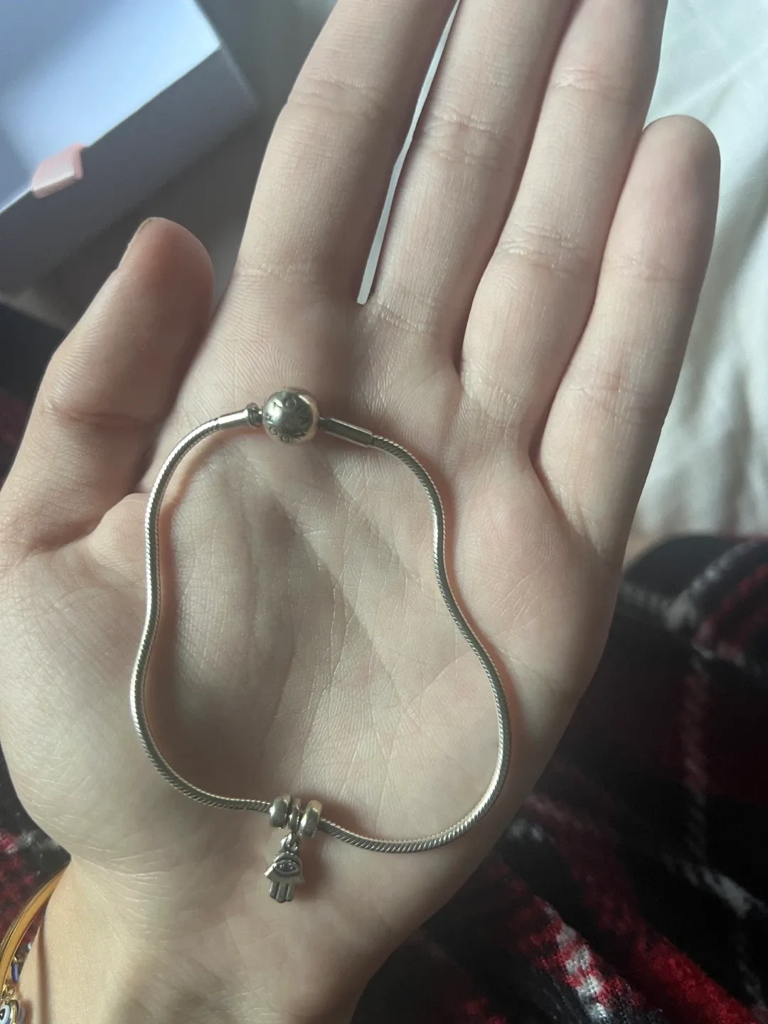 Pandora Silver Bracelet with Hamsa Charm image indicator(2)