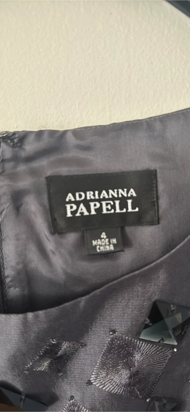 Adrianna Papell Dress - Size 4 image indicator(3)