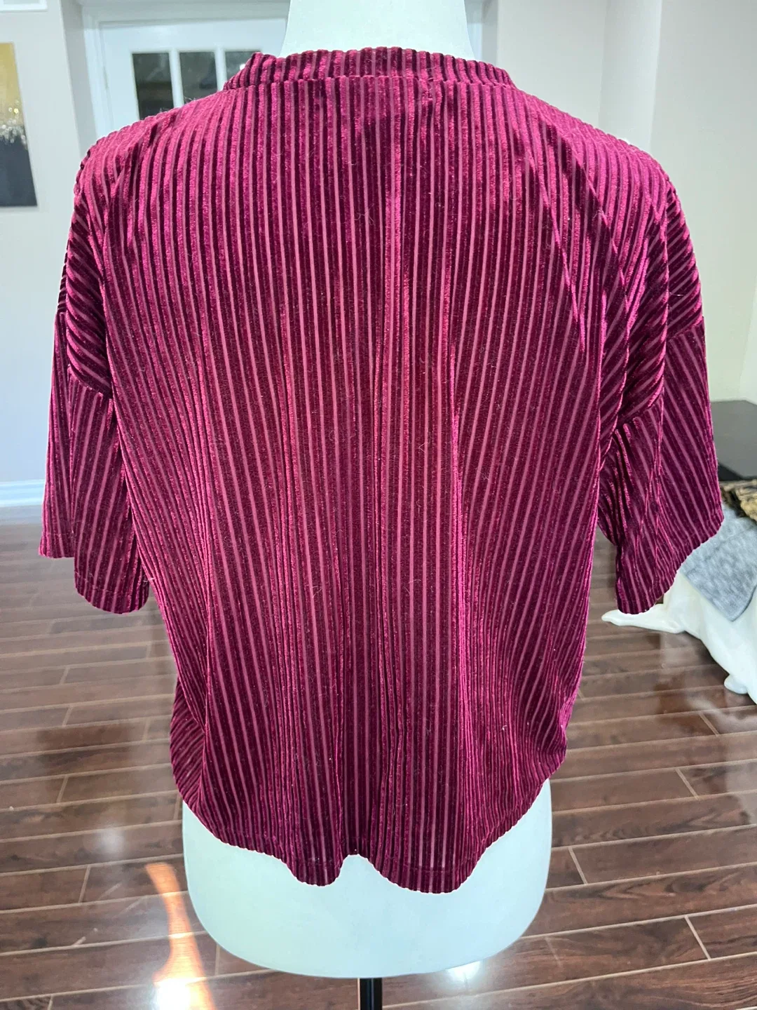 Forever 21 Burgundy Velvet Top image indicator(2)