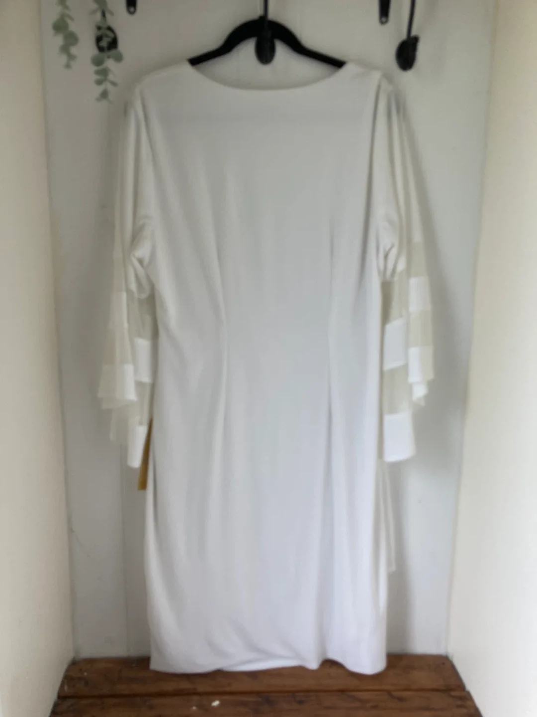 Brand New Laura Plus White Sleeved Dress - size 16 image indicator(4)