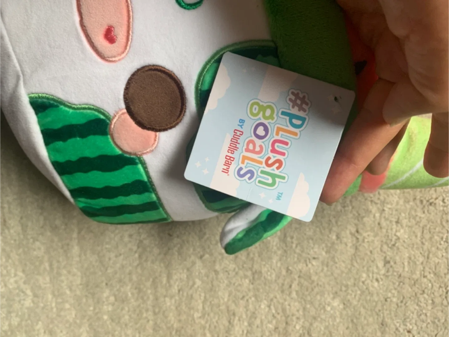 Squishmallow image indicator(5)