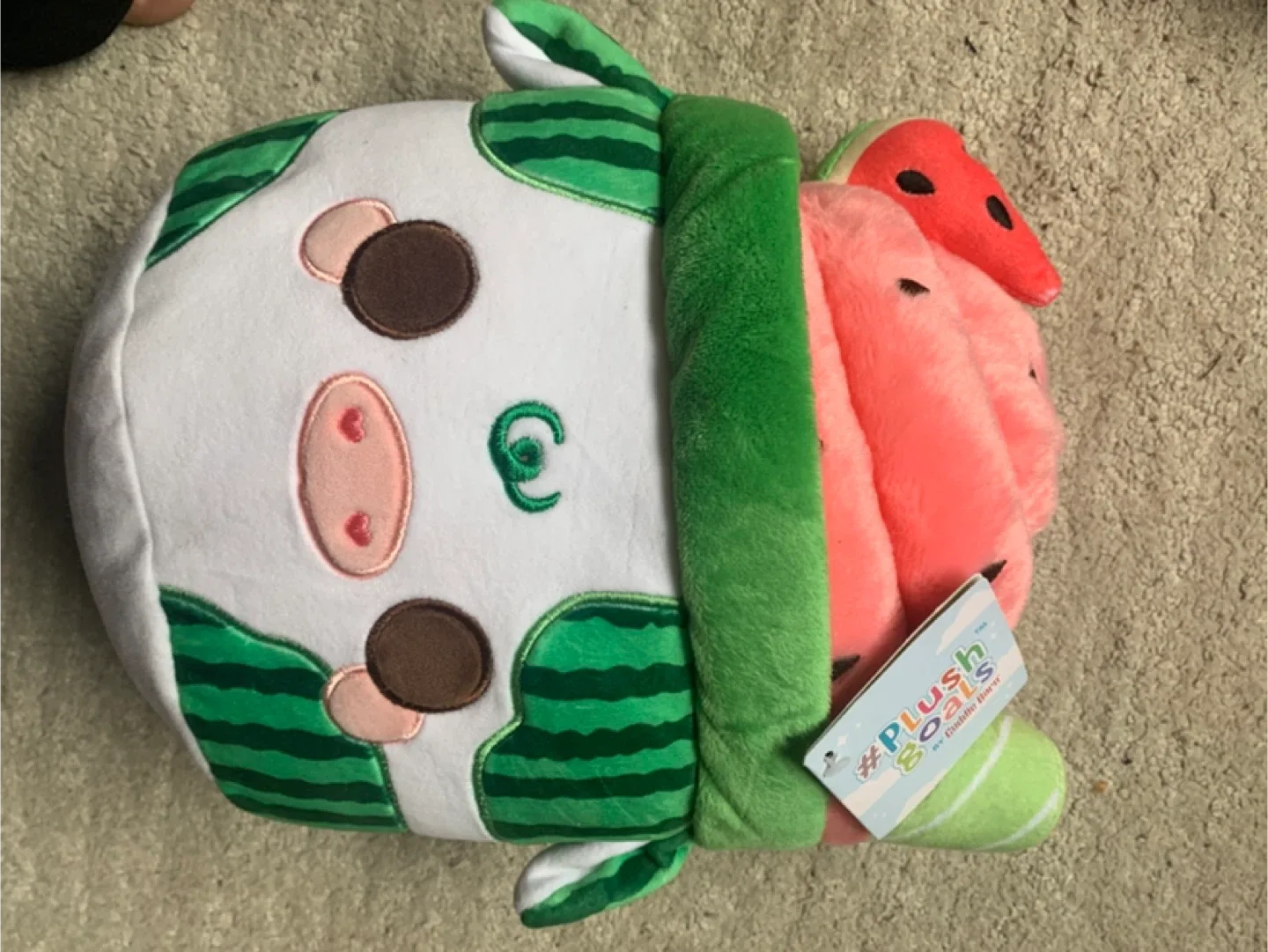 Squishmallow image indicator(4)