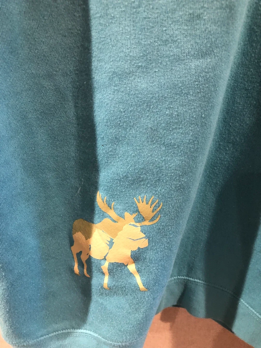 K&L Toronto Sweatshirt - Teal with Moose size M image indicator(3)