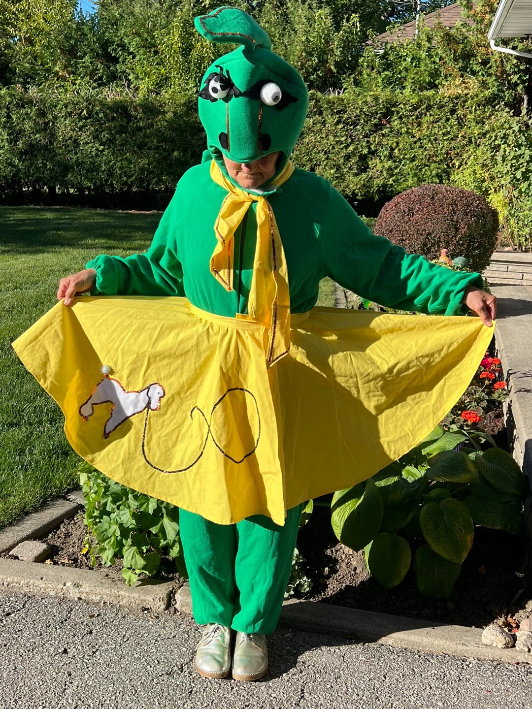 Dragon Costume - adults - photo 2