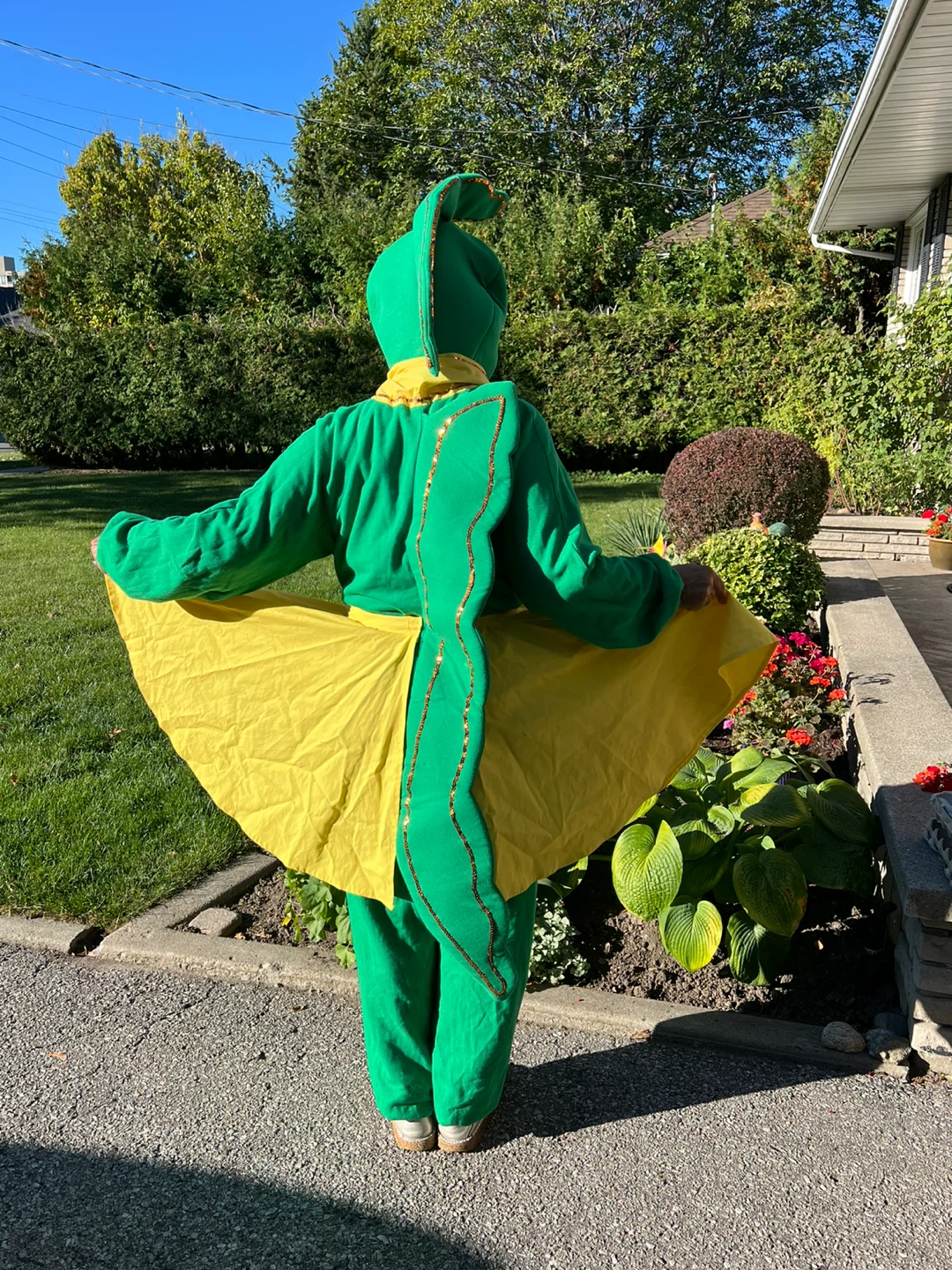 Dragon Costume - adults - photo 3