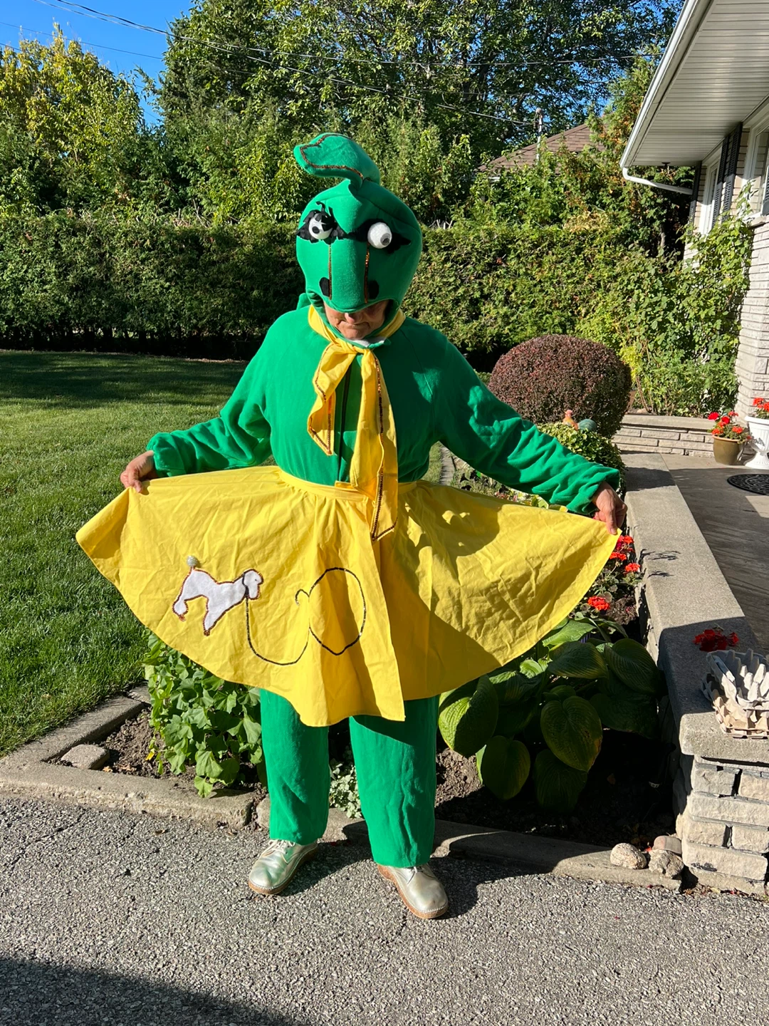 Dragon Costume - adults