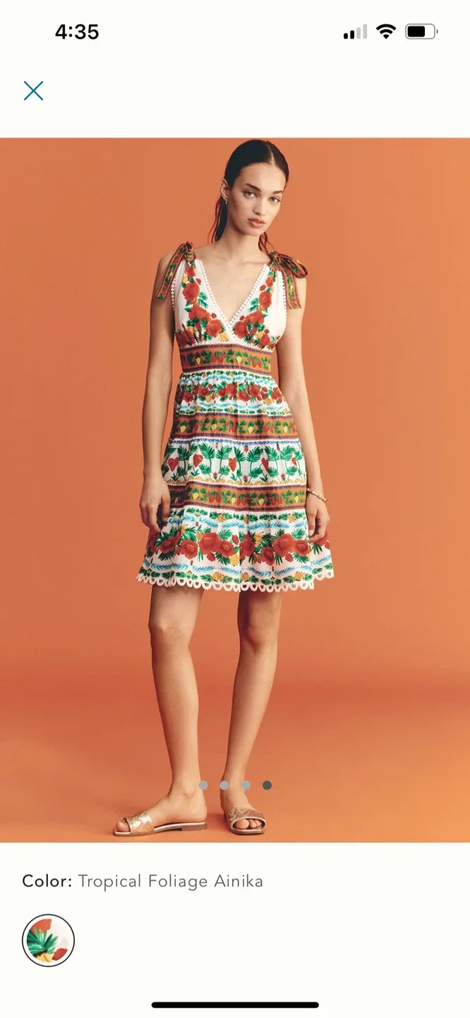 BNWT Farm Rio V Neck Tiered Dress M (fits S) image indicator(5)