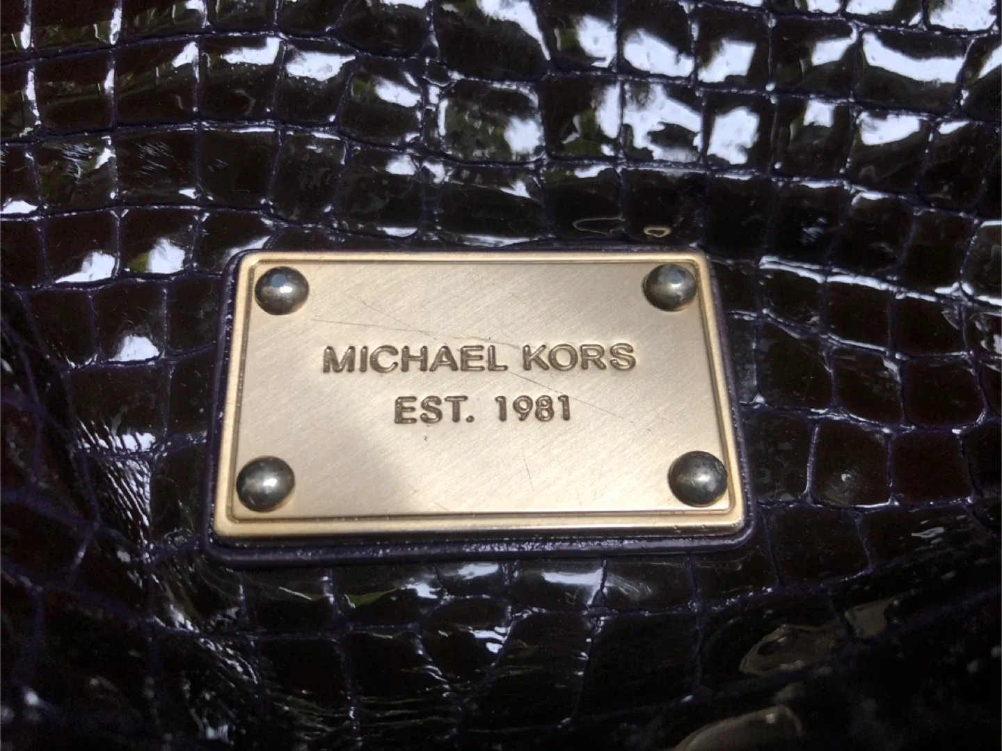 Michael Kors & Stuart Weitzman Handbag image indicator(2)