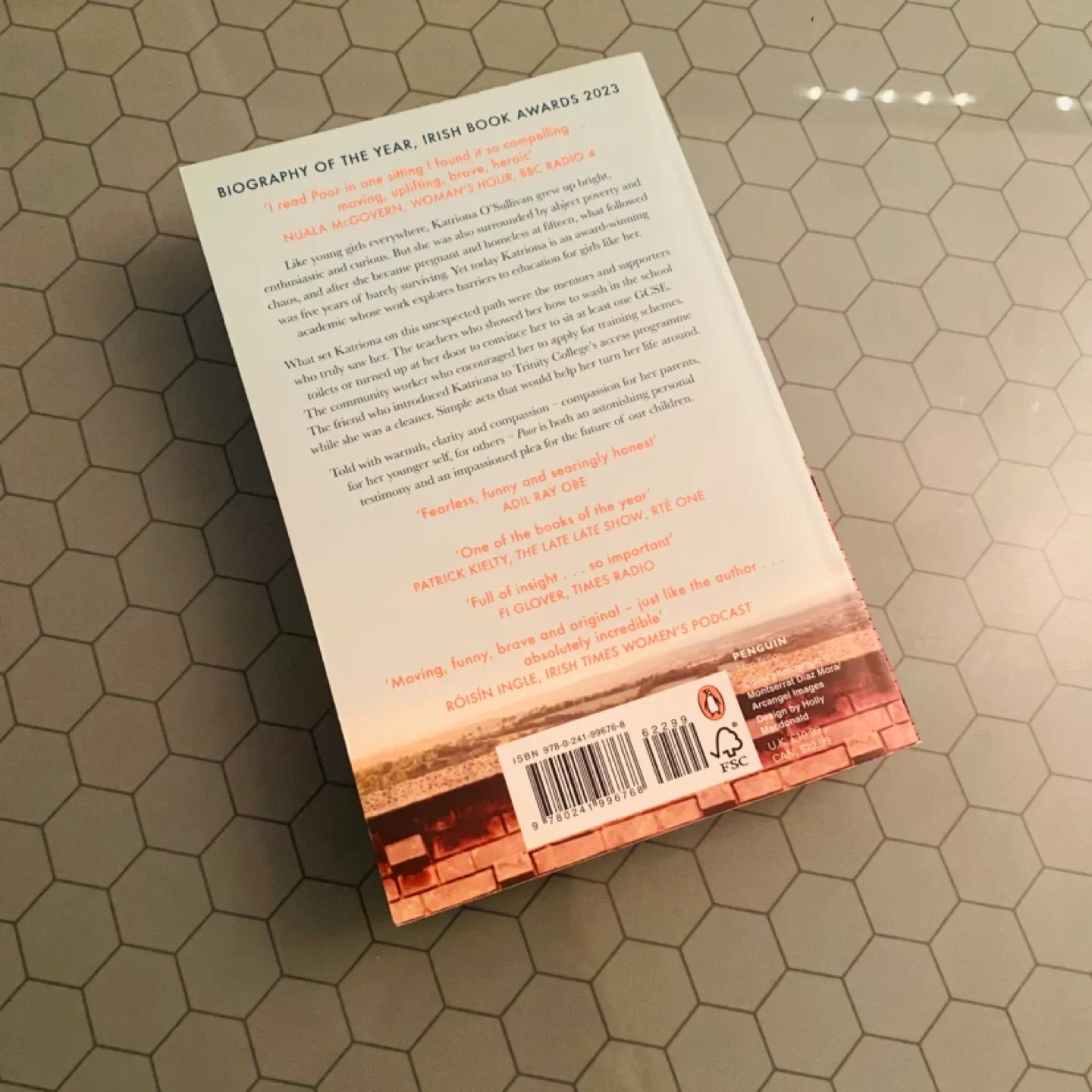 Poor by Katriona O'Sullivan 🥕 image indicator(2)