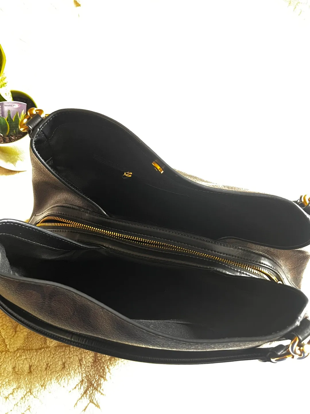 Coach Hobo Bag image indicator(2)