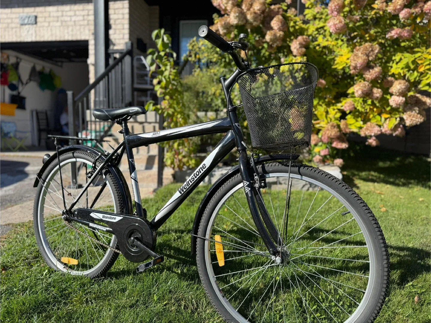 WeinStone MTB Bike with Basket - Black image indicator(4)