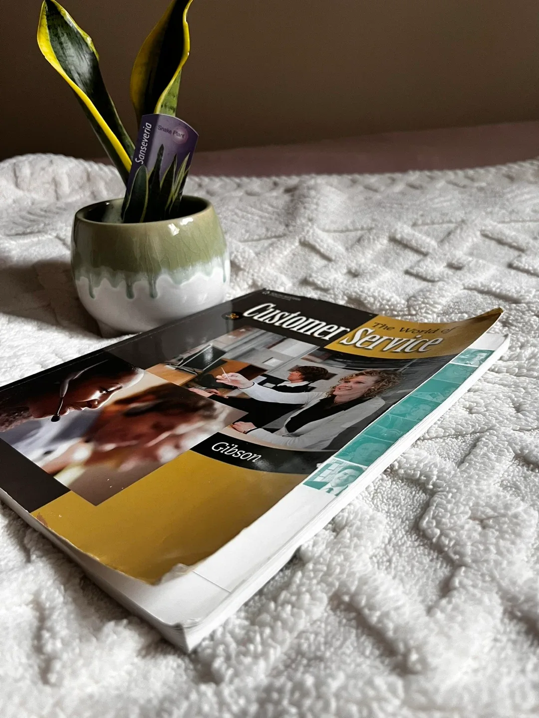 The World of Customer Service by Gibson image indicator(2)