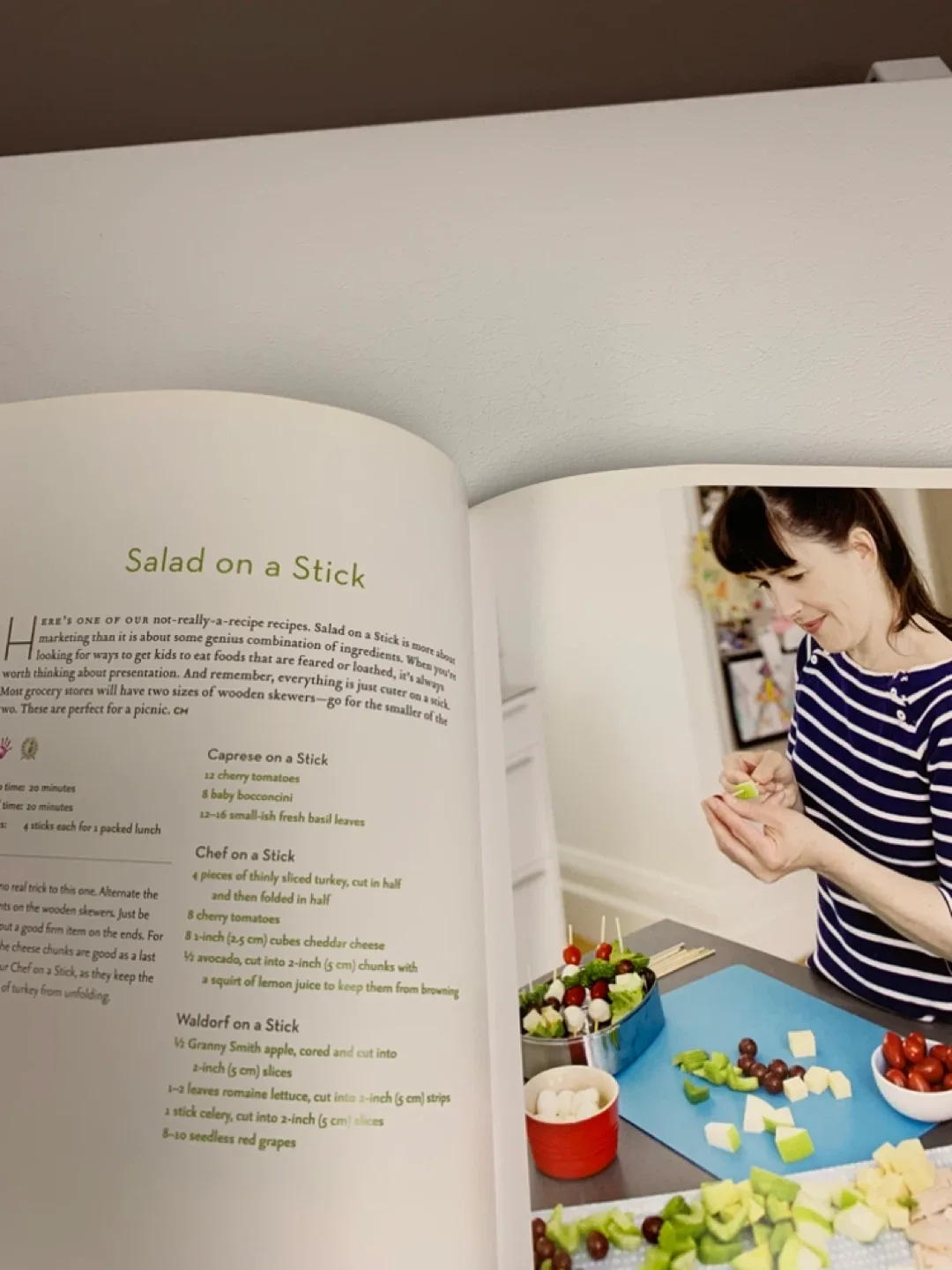 How to Feed a Family Cookbook🥕 image indicator(3)