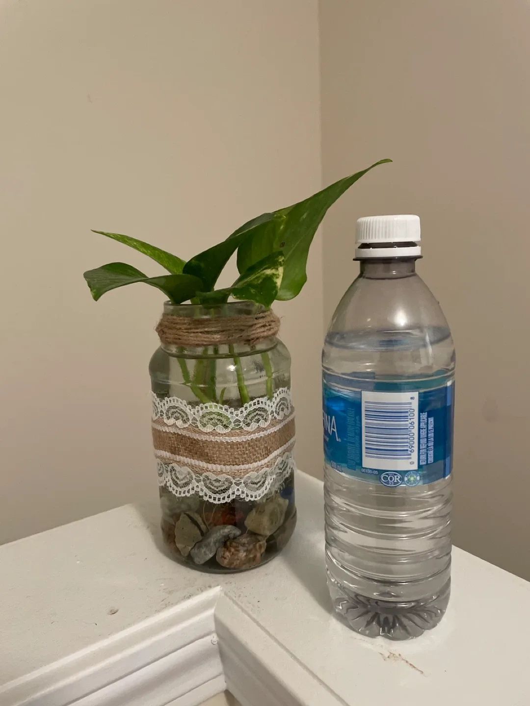 Pothos Plant in Decorated Jar image indicator(2)