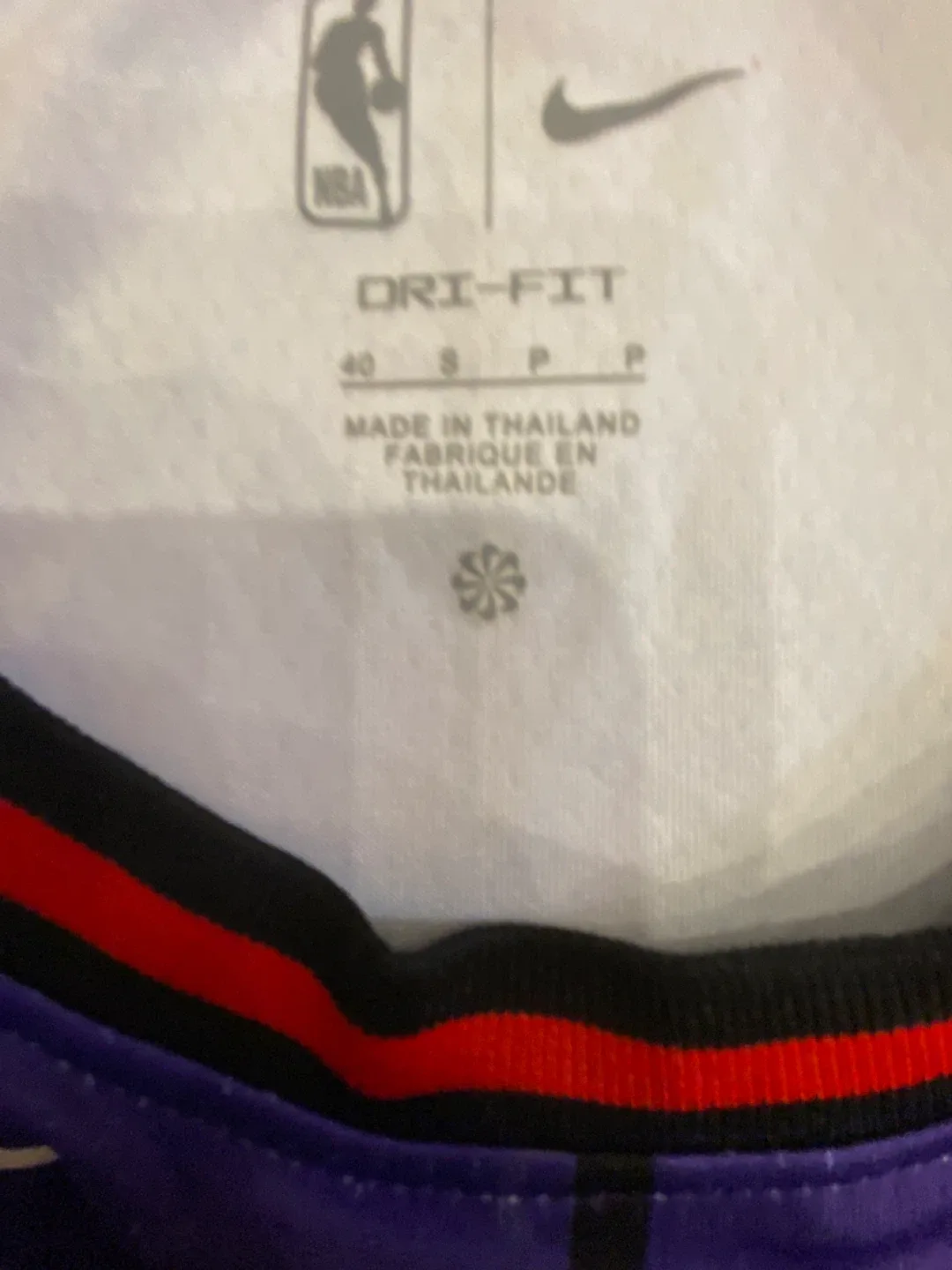 Nike Raptors Carter #15 Jersey - Size 40 image indicator(2)