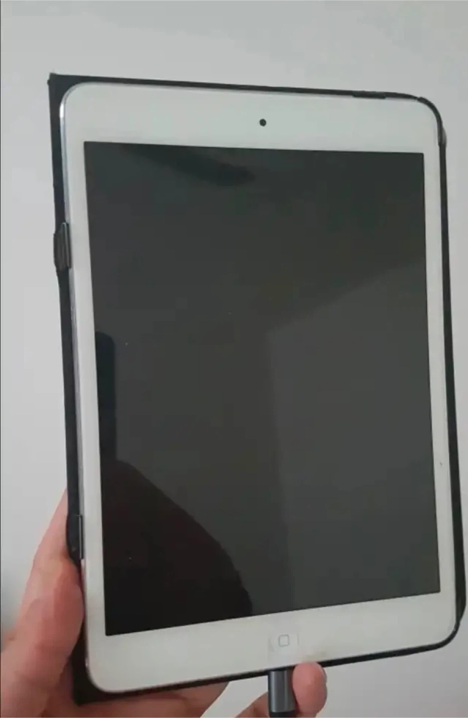 Apple iPad Mini 16GB - photo 2