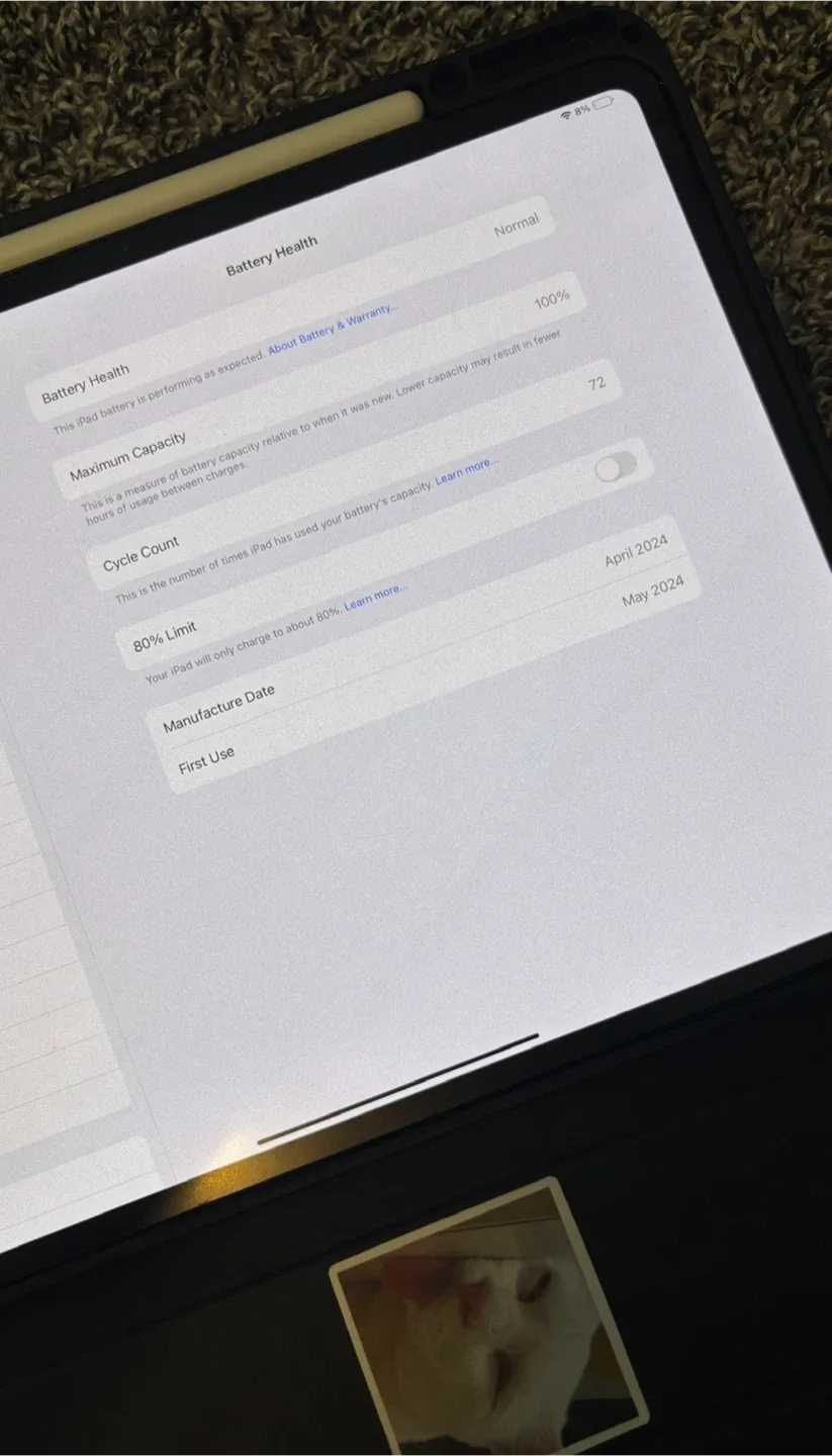 iPad Pro 256GB 13inch (M4) 7th Gen with Apple Pencil Pro image indicator(6)