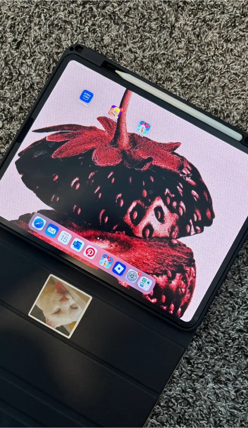 iPad Pro 256GB 13inch (M4) 7th Gen with Apple Pencil Pro image indicator(2)