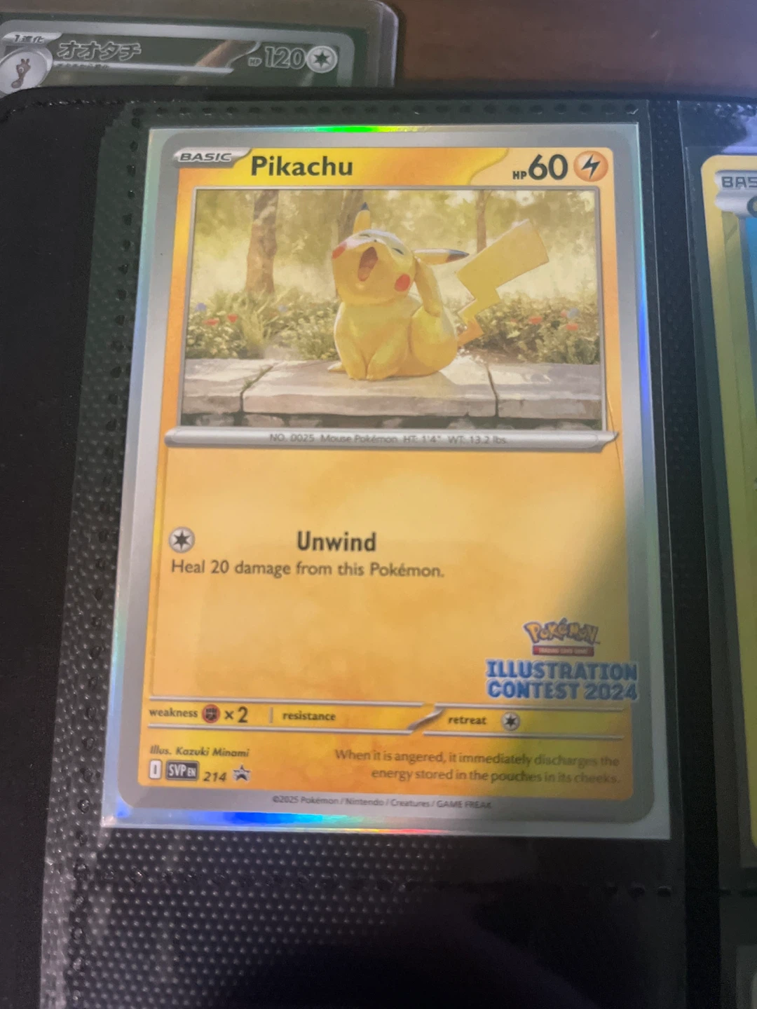 Pikachu Illustration Contest 2024