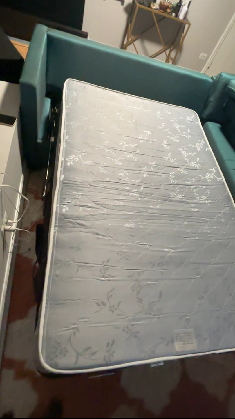 Sleeper Sofa - Pull Out Bed - photo 2