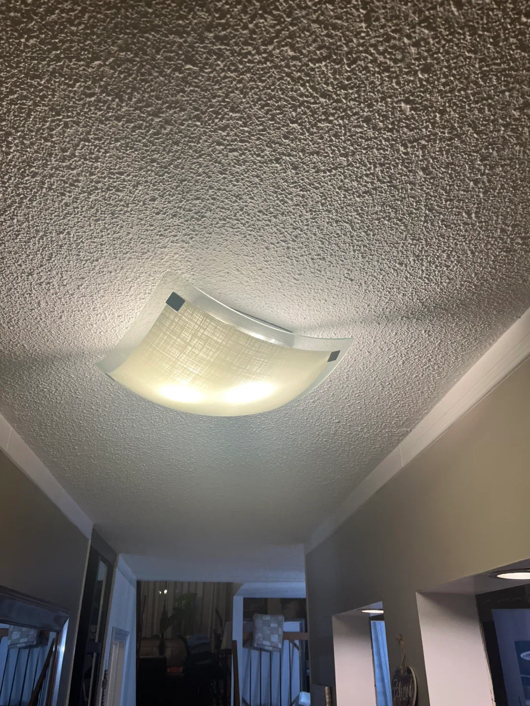 Flush Mount Ceiling Light Fixture